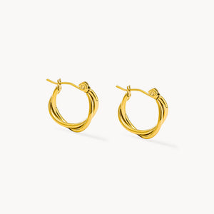 Entwined Hoops
