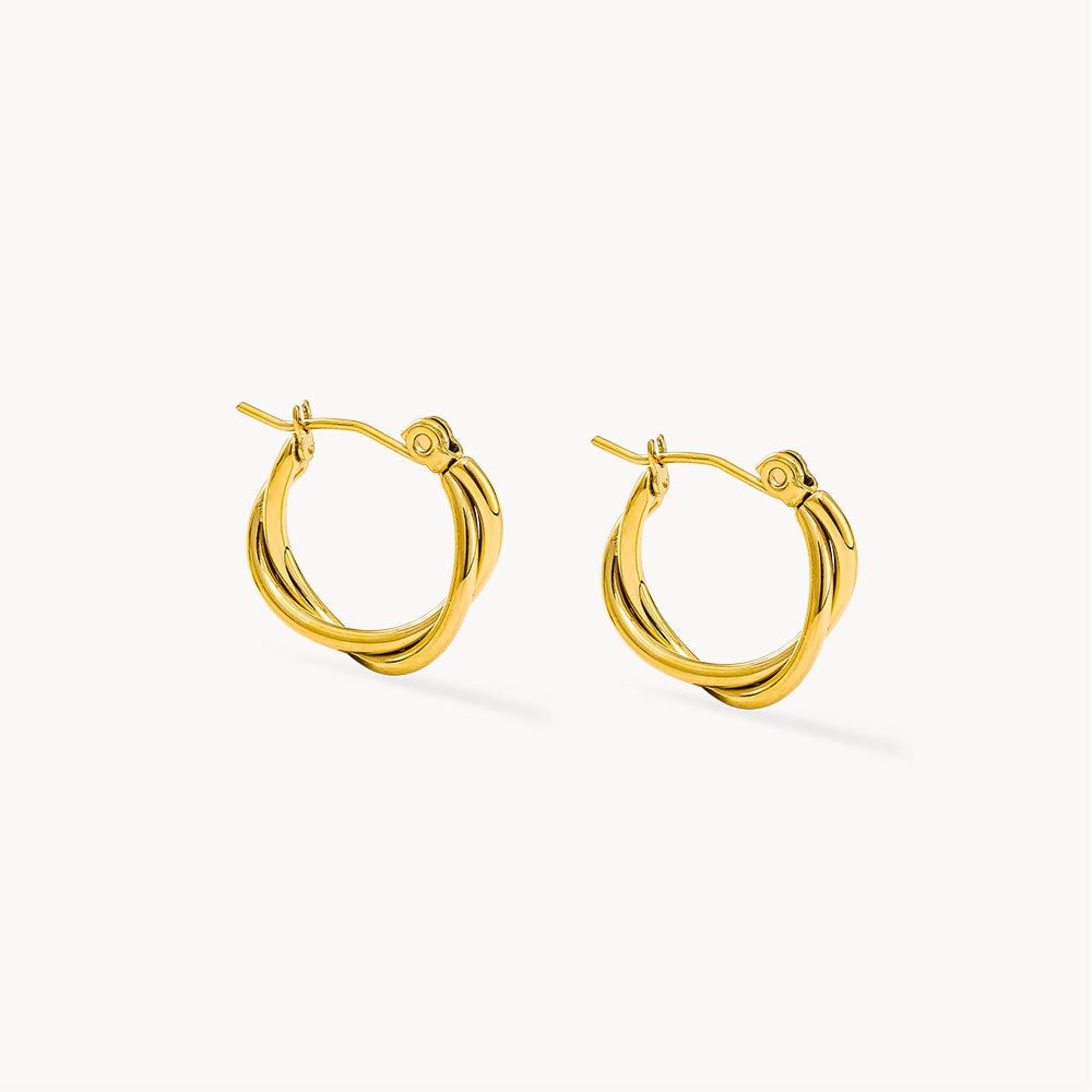 Entwined Hoops