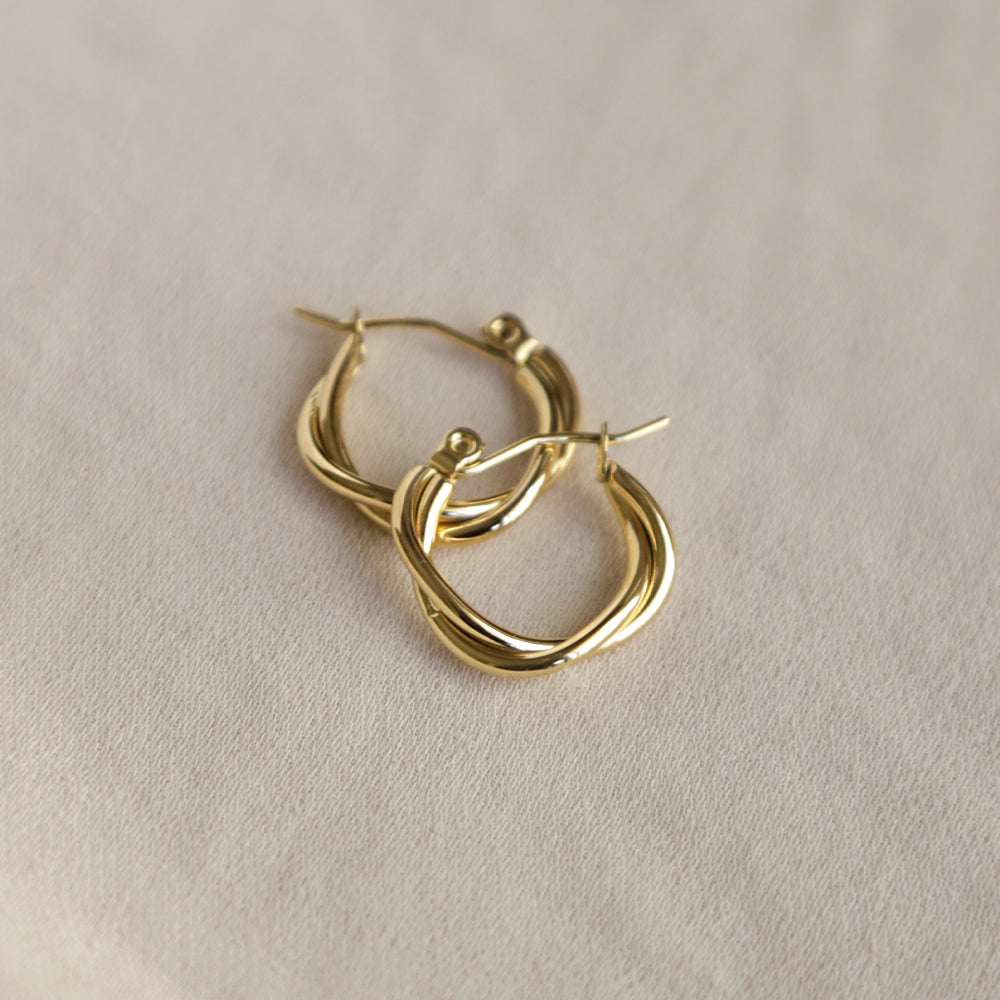 Entwined Hoops